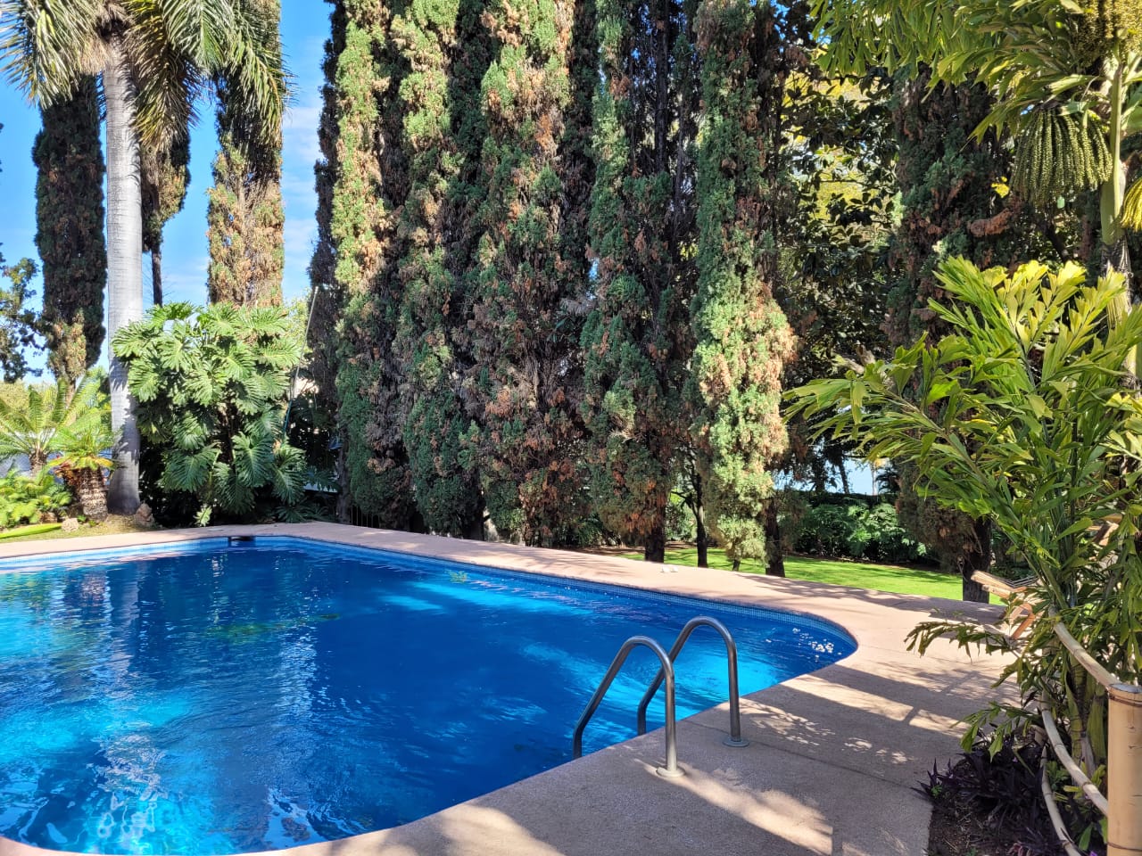 WhatsApp Image 2023-03-01 at 09.06.34