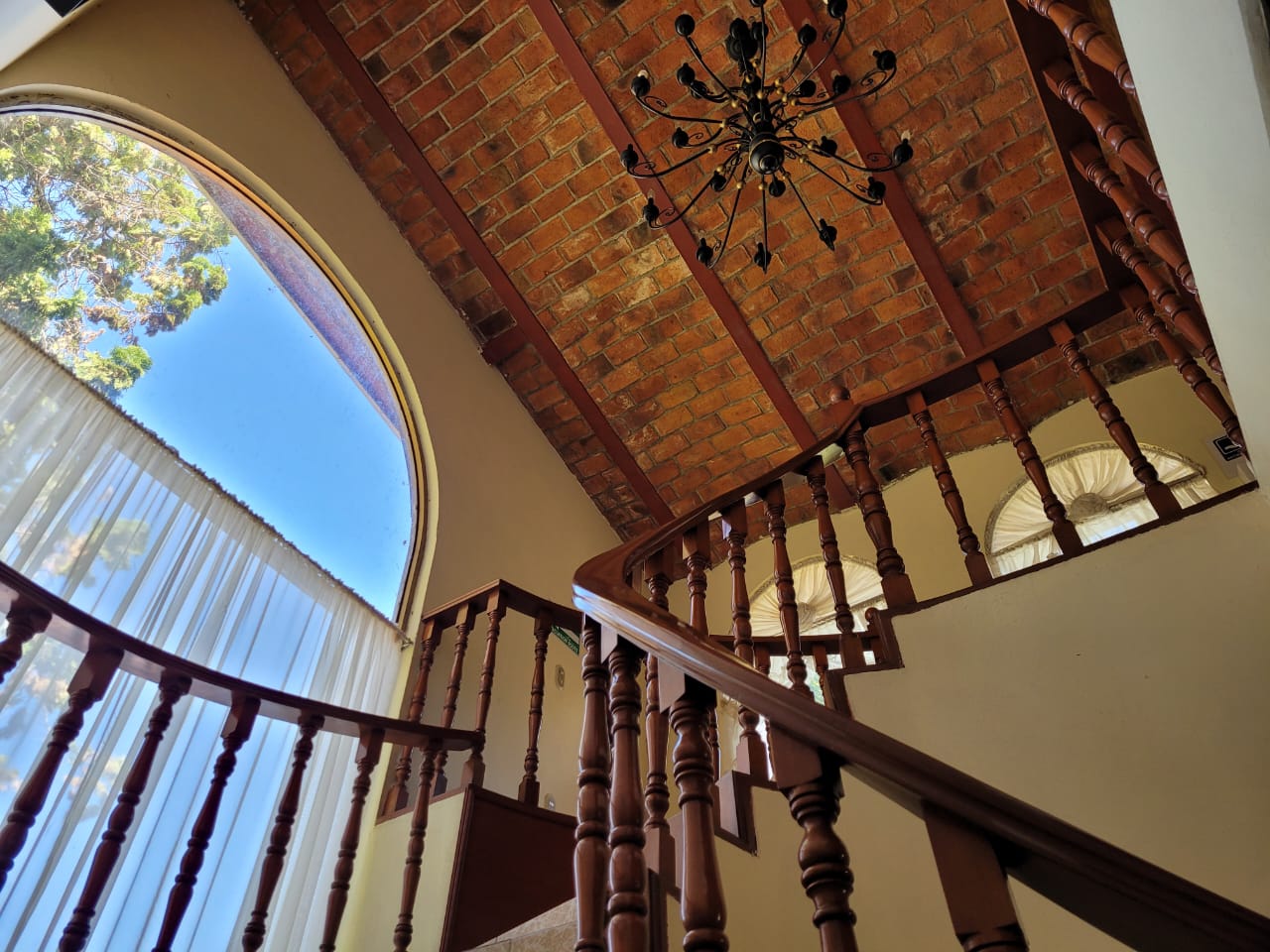 WhatsApp Image 2023-03-01 at 09.06.48