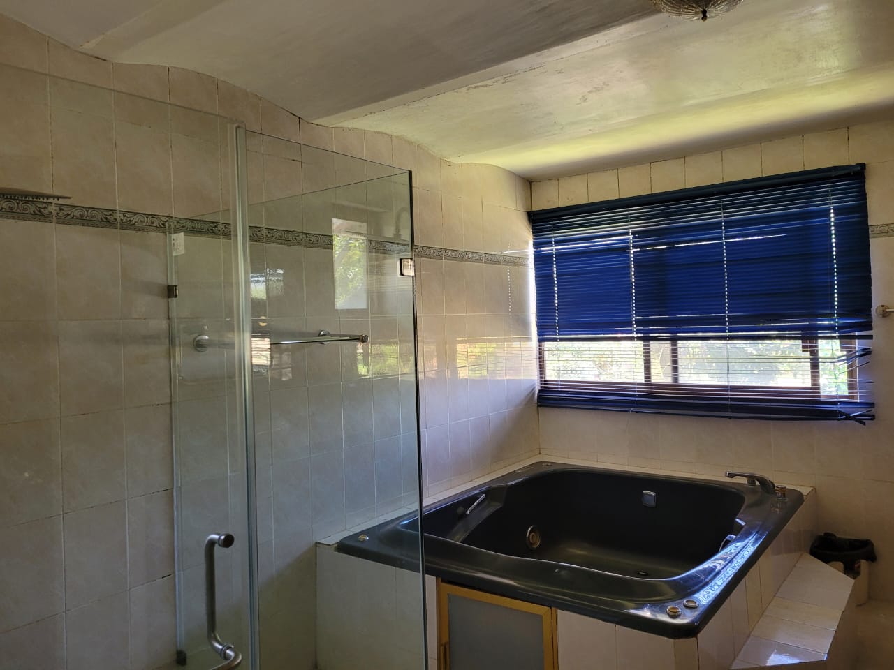 WhatsApp Image 2023-03-01 at 09.07.10 (2)